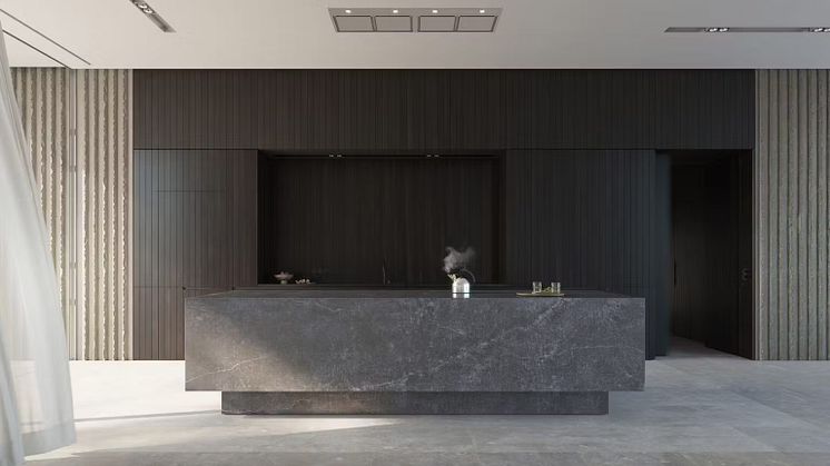 Dekton Laos in the Essential Induction- Photo Cred Gaggenau (1).JPEG
