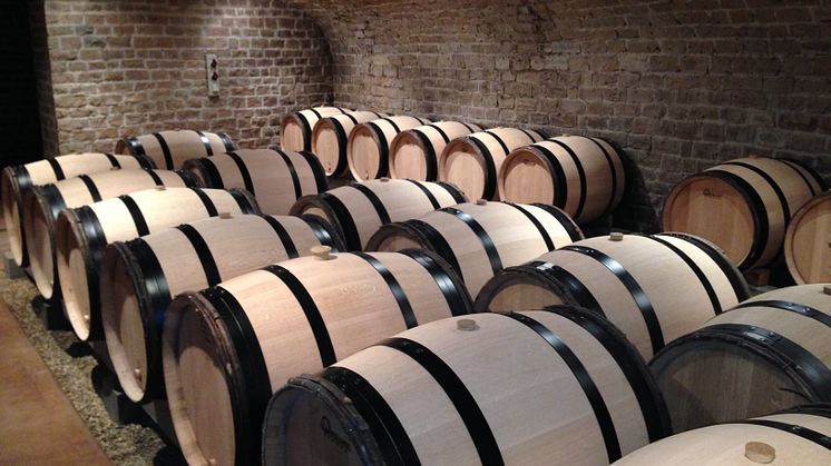 Cathiard cellar.JPG
