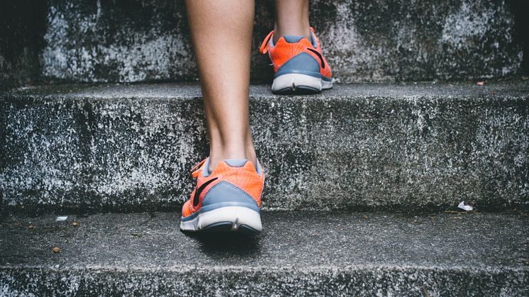 Foto: Bruno Nascimento/Unsplash