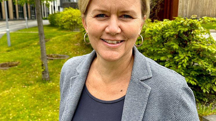 hildelandsem.jpg