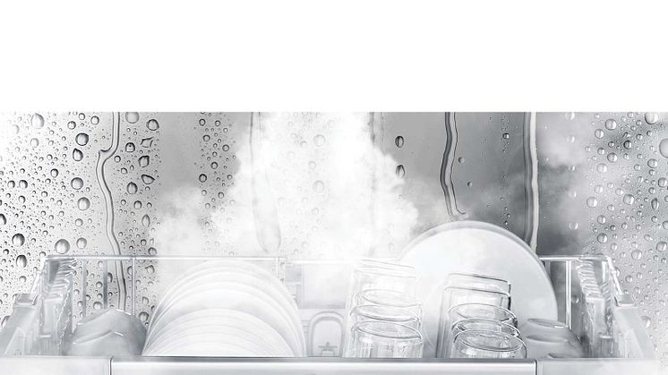 DU517_QuadWash_2020_Feature_02_TrueSteam_D.jpg