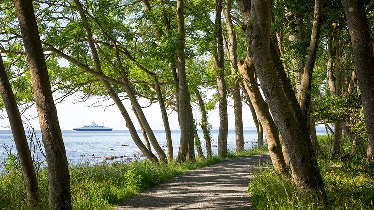 Utstikt fra Jeløya