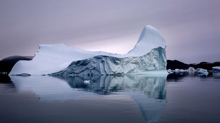 The WILD Project Ice