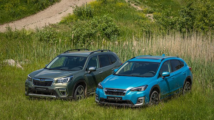 Forester and XV_high-009-27344