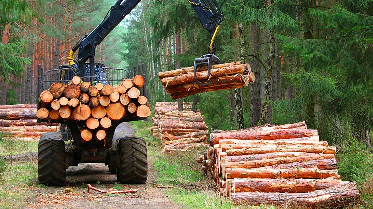 Behovet av fossilfria drivmedel kommer finnas kvar, bland annat för skogsindustrin och sjöfarten. Foto: Getty Images