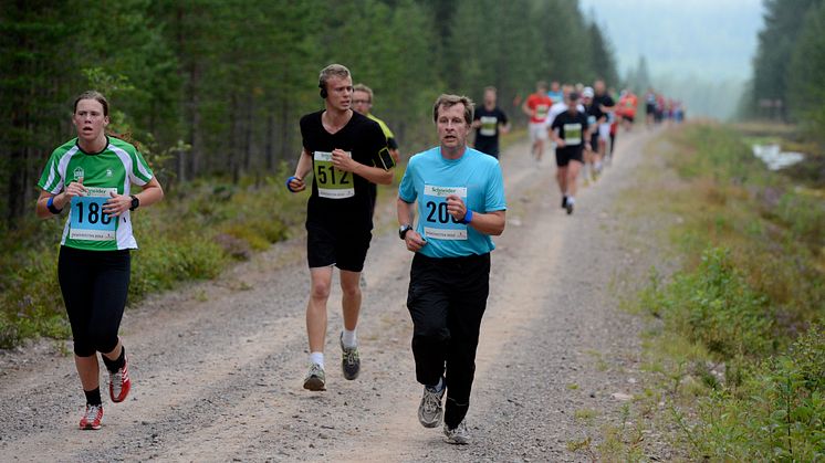VasaStafetten 2012