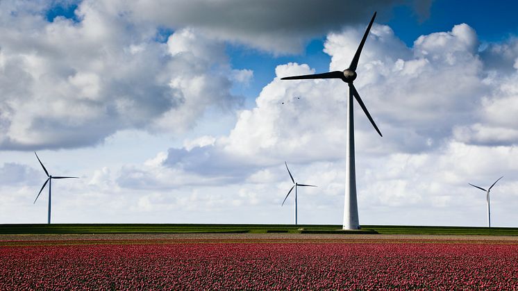 Vind, eller ikke vind – Det er spørsmålet! // Entelios kraftkommentar uke 21. 2021