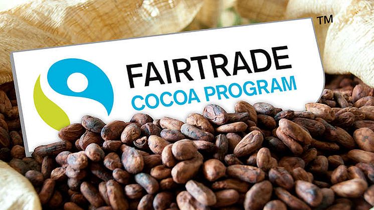 Schyssta Bollar - Delicatobollar med fairtrade-certifierad kakao