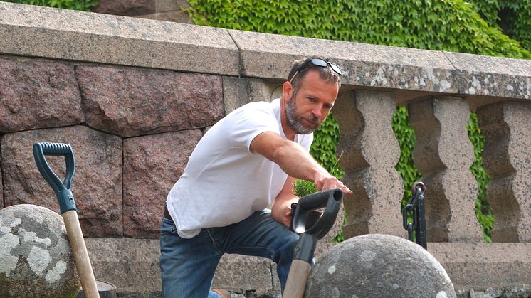 Nyplanteringar i slottsträdgården