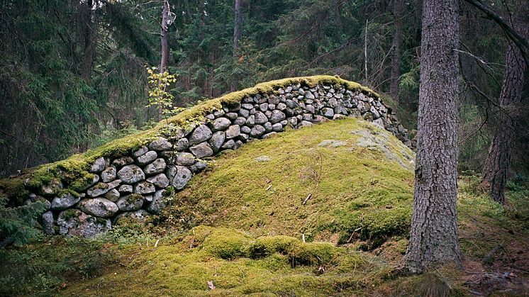 Det åttonde underverket - De småländska stenmurarna