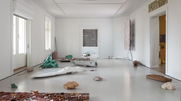 Symbiotic Stories_Jakob Oredsson_Galleri F15_01