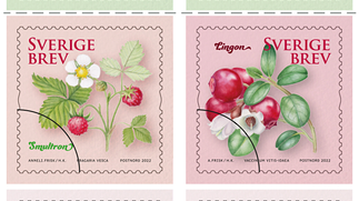 Sveriges nationalblomma