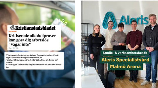 Året som gått 2024-4.png
