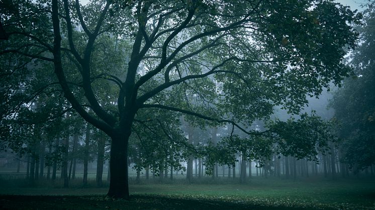 Orkla’s net-zero emission targets approved by Science Based Targets initiative 