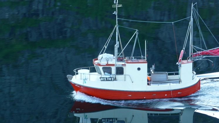 Lofootit, Möller