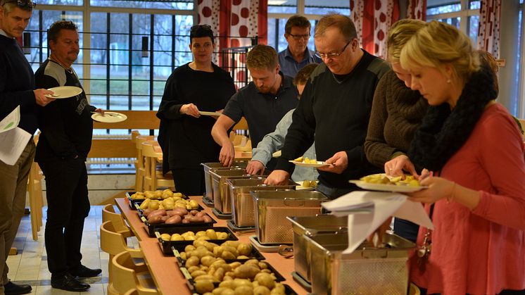 Potatis i storhushåll