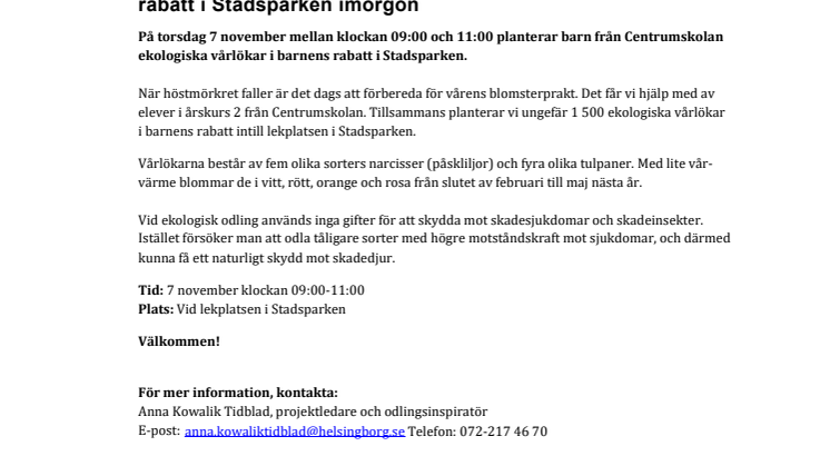 Pressinbjudan: Ekologiska vårlökar planteras i barnens rabatt i Stadsparken imorgon