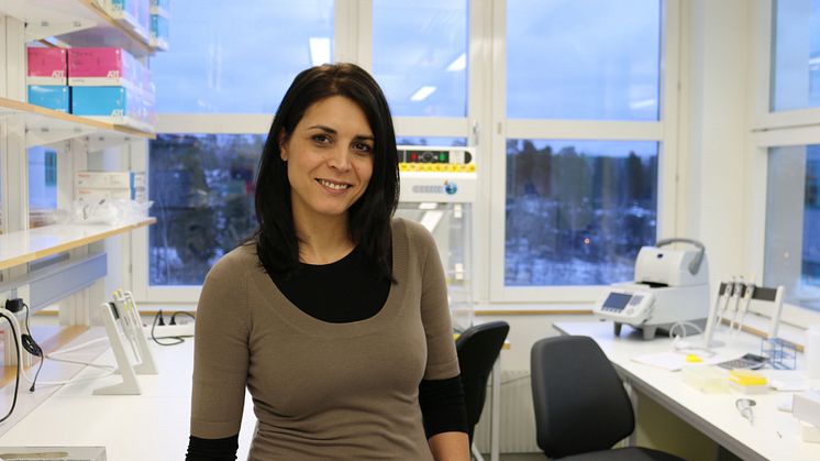 Myriam Aouadi får Leif C. Groop-priset för framstående forskning om typ 2-diabetes Foto: Ki