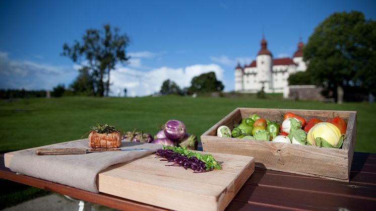 Läckö Slotts matmarknad Foto: Jesper Anhede