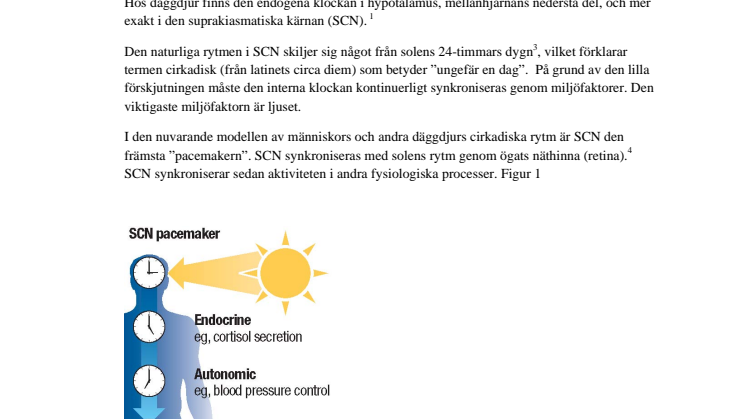 Fakta om dygnsrytm och depression