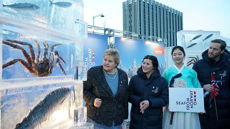 Statsminister Erna Solberg kastet glans over den norske kongekrabben under OL Seoul