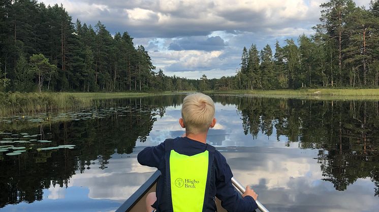 Vad är viktigast i videomötet?
