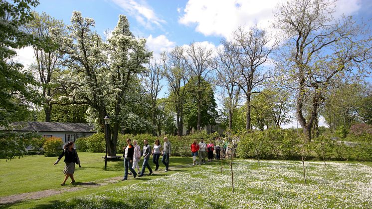 Stort intresse för 4-dagars vandring i Skaraborg 9-12 maj