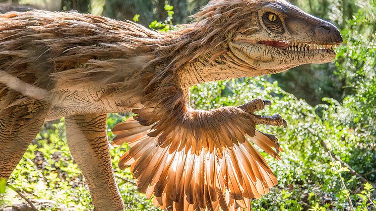 Knuthenborg Safaripark:  Dinosaurier-Wald - Velociraptor1
