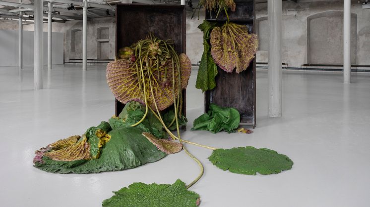 Body of Medusa. Roland Persson (2025).