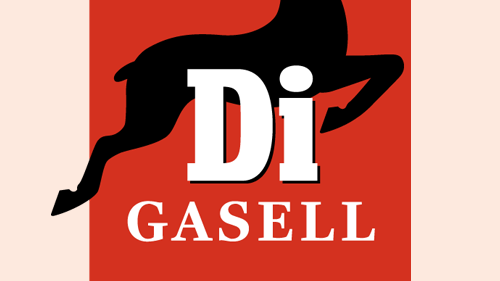 Bool utsedda till Gasellföretag 2013