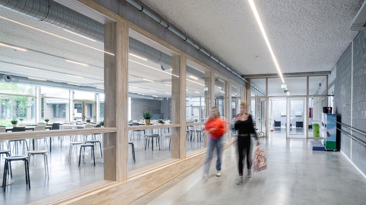 De Rekke Schule - nachhaltiges Bildungsparadies