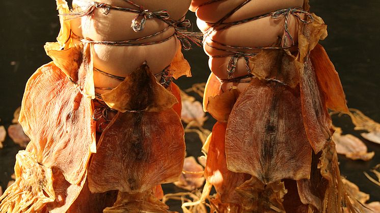 "Dry Fish", en performance av YoungSoon Cho Jaquet, visas på Bildmuseet. Foto: Nina Tyack.