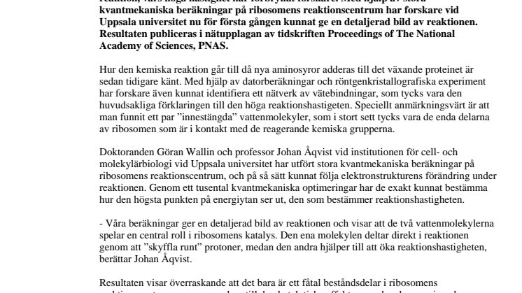 Viktig pusselbit ger kunskap om ribosomens funktion
