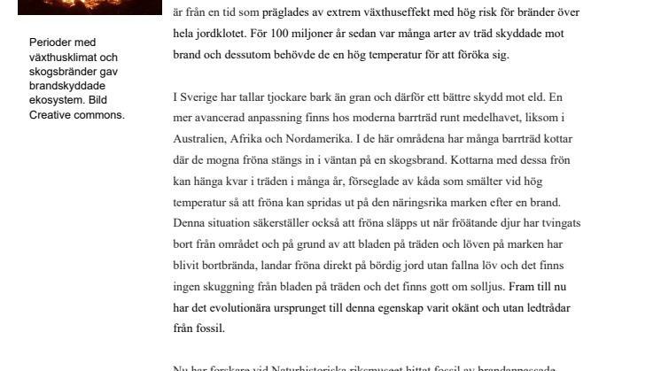 Växthuseffekt gav oss brandskyddade träd