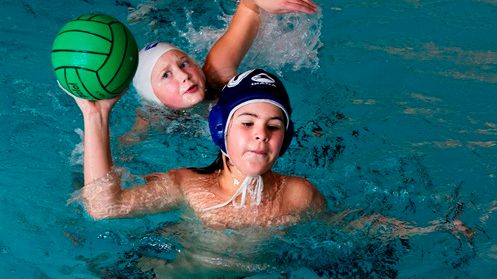 En historisk ökning för Svensk Vattenpolo