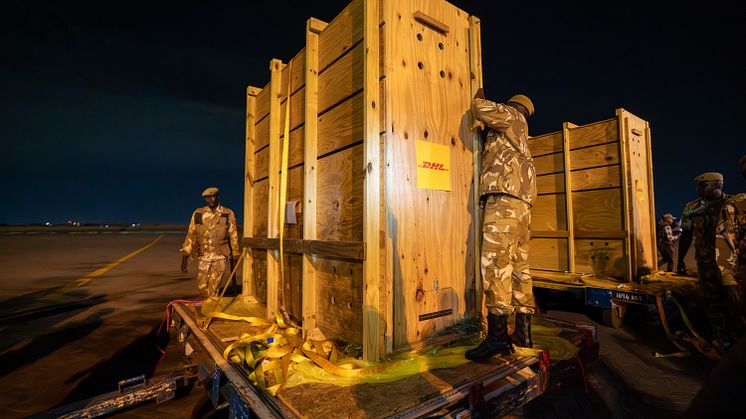mountain-bongo-custom-built-crates.jpg