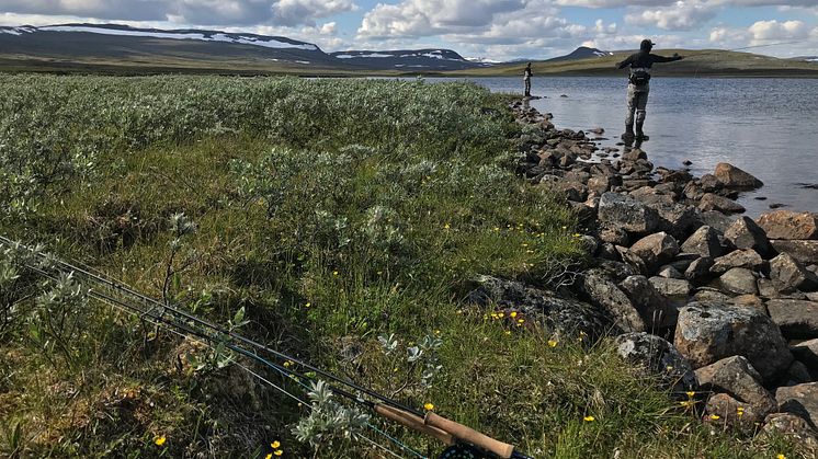 Under 2019 ägnade sig ungefär 1,6 miljoner personer åt fritidsfiske, jämfört 1,3 miljoner utövare 2018, en ökning med 23 procent. Foto: Gustav Enhol Blomqvist/HaV