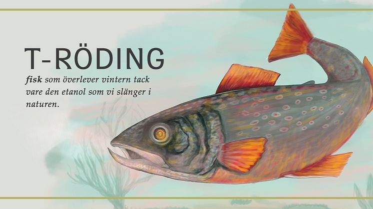 T-ro¦êding