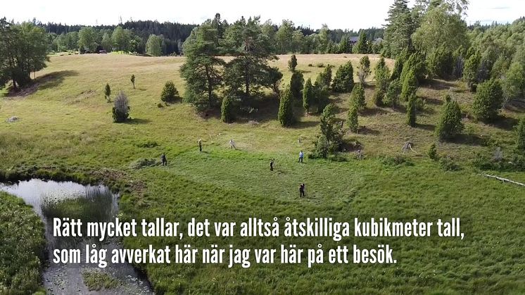 Åtgärder för tidig fältgentiana i Hunnabo, Tranemo kommun, södra Västergötland.
