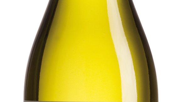 NYHET 1 oktober Castillo de Molina Reserva Sauvignon Blanc