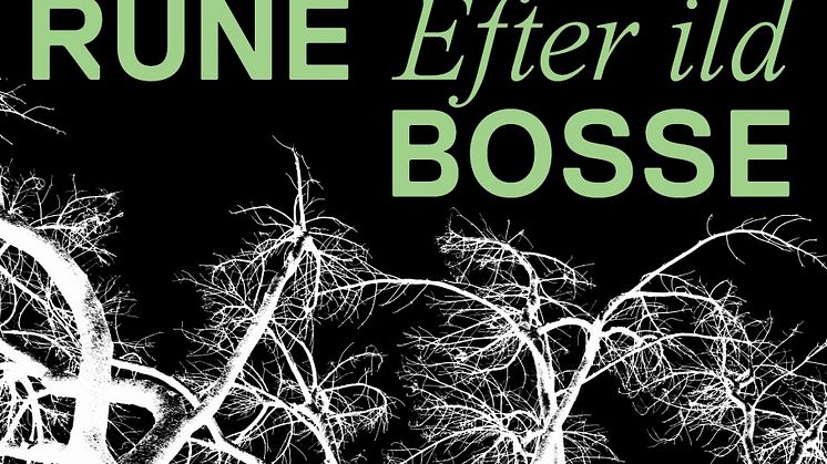 Rune Bosse_Efter Ild_Header