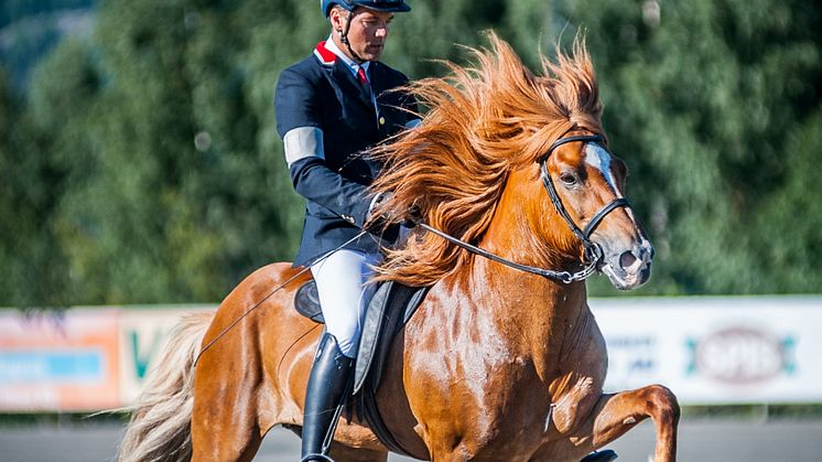 Höstlig hästfest med islänningar på Elmia
