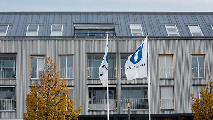 Elva unga kommunutvecklare kommer att samla in invånarnas åsikter. 
