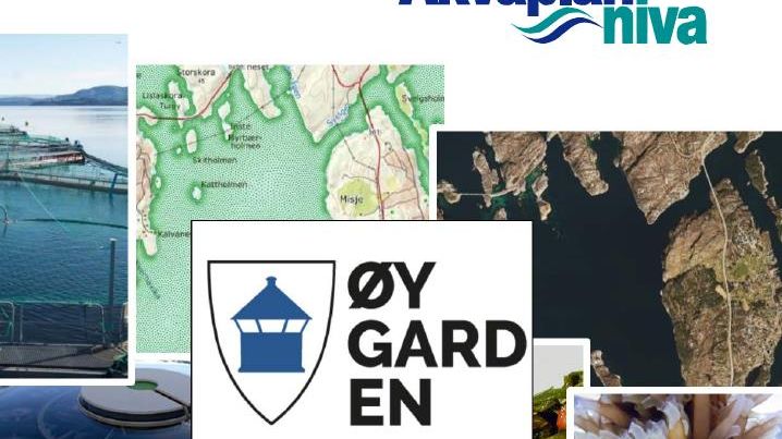 Mulighetsstudie for bærekraftig vekst innen oppdrett