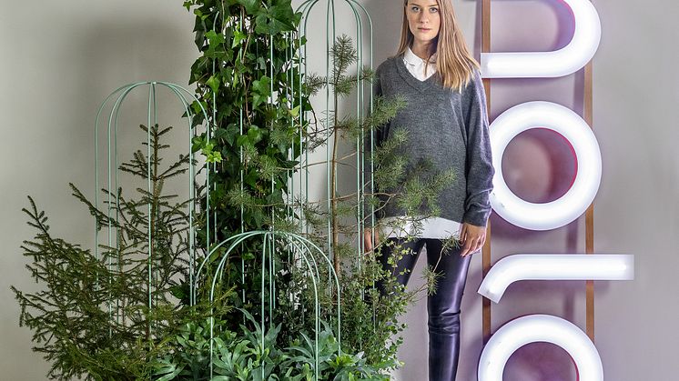 Cacti planteringskärl / planter, design Anki Gneib.