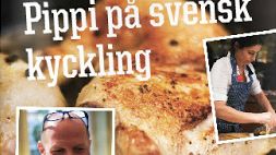Lyckat bloggsamarbete