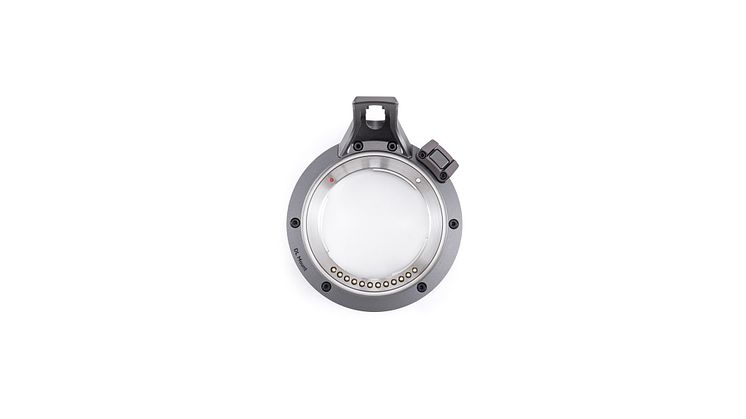 DL Mount