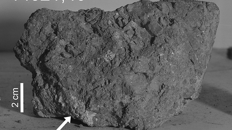 Ett fragment av den här månstenen har ett ursprung från jorden visar ny forskning från Naturhistoriska riksmuseet. Stenen togs hem av Apollo 14 år 1971.