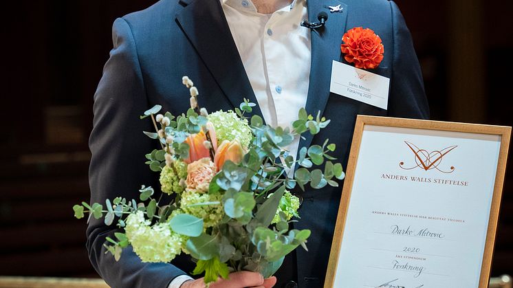 Darko Mitrovic, Unga Forskare-stipendit 2021