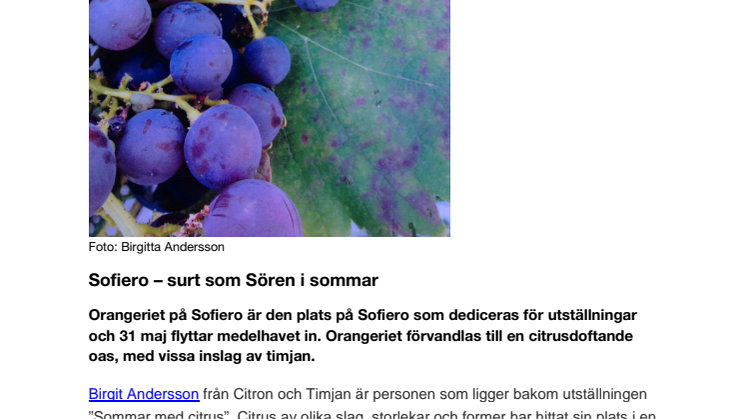 Sofiero – surt som Sören i sommar